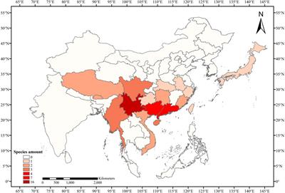 Increasing Taxa Sampling Provides New Insights on the Phylogenetic Relationship Between Eriobotrya and Rhaphiolepis